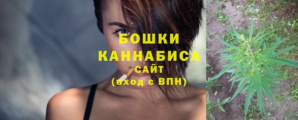Альфа ПВП Няндома