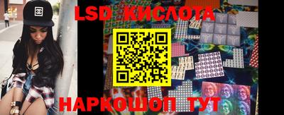 дмт Гай