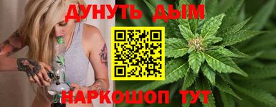 дмт Гай