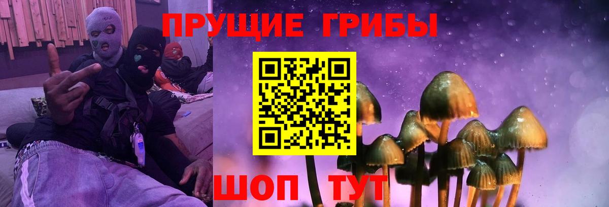 Галлюциногенные грибы мухоморы  Псилоцибиновые грибы мухоморы  Камень-на-Оби  Вход с VPN 
